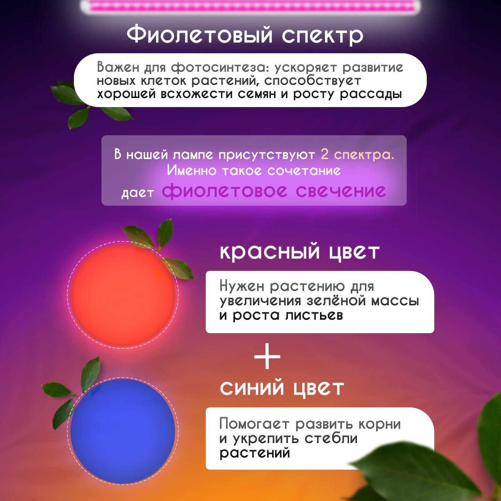 https://cdn1.ozone.ru/s3/multimedia-1-2/6961102814.jpg