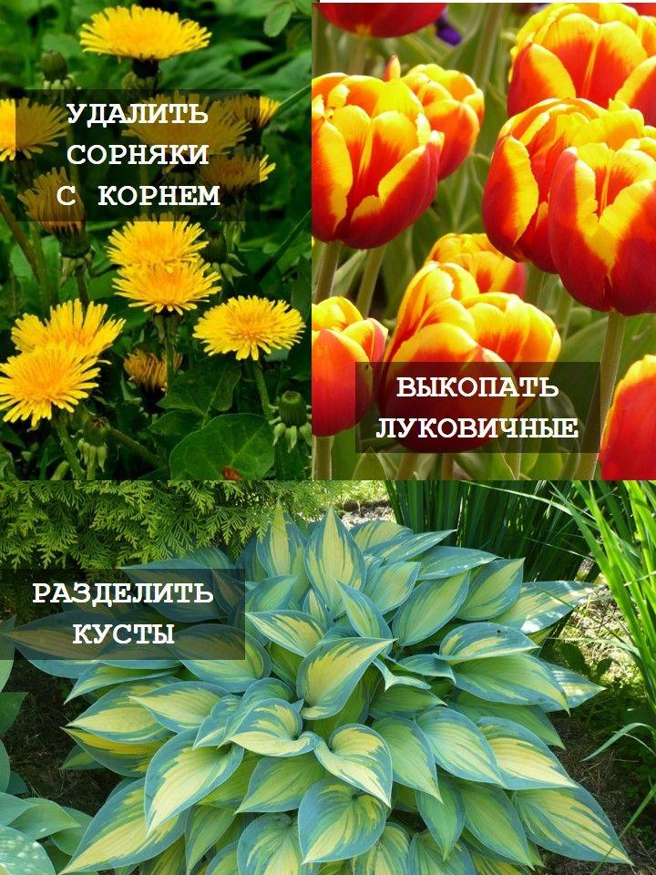 https://cdn1.ozone.ru/s3/multimedia-1-2/7052979530.jpg