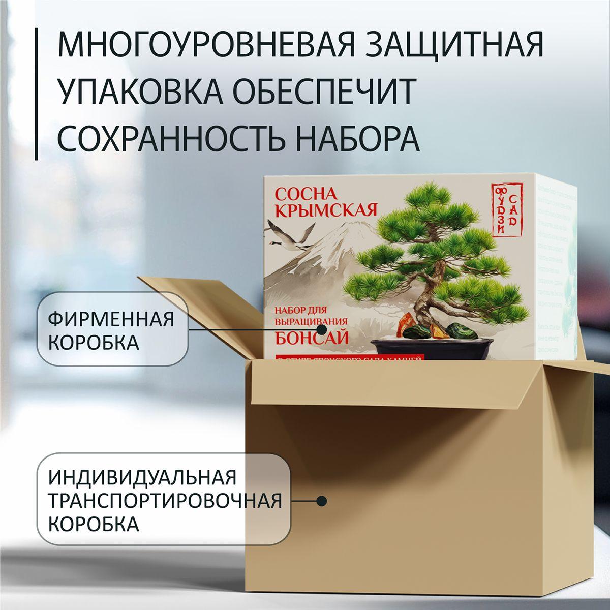 https://cdn1.ozone.ru/s3/multimedia-1-2/7065076610.jpg