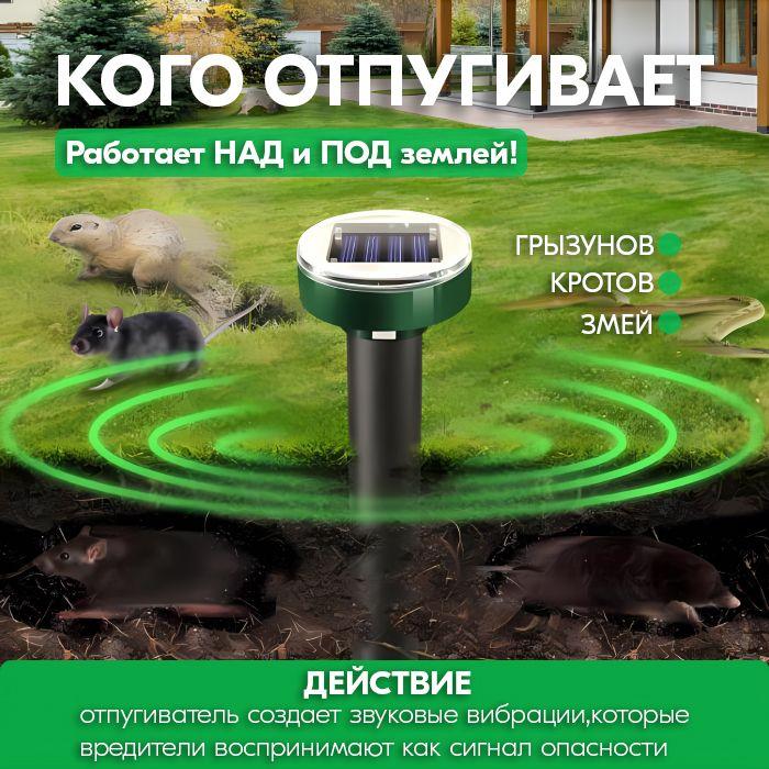 https://cdn1.ozone.ru/s3/multimedia-1-2/7073607098.jpg