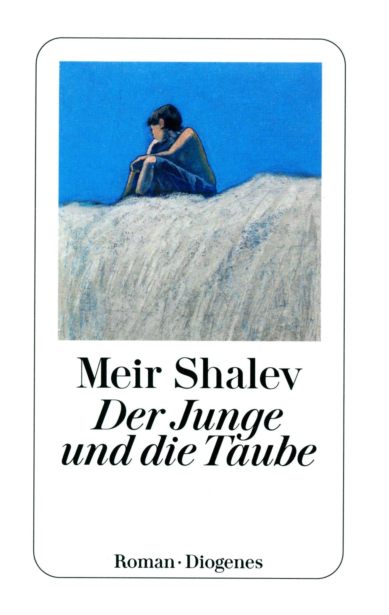 Der Junge und die Taube / Книга на Немецком