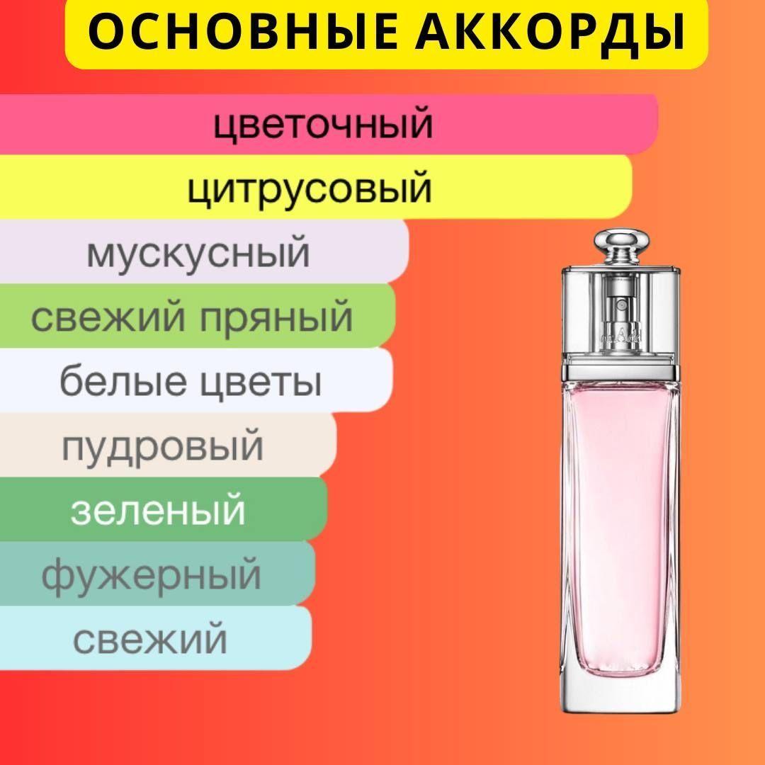 https://cdn1.ozone.ru/s3/multimedia-1-2/7175959850.jpg