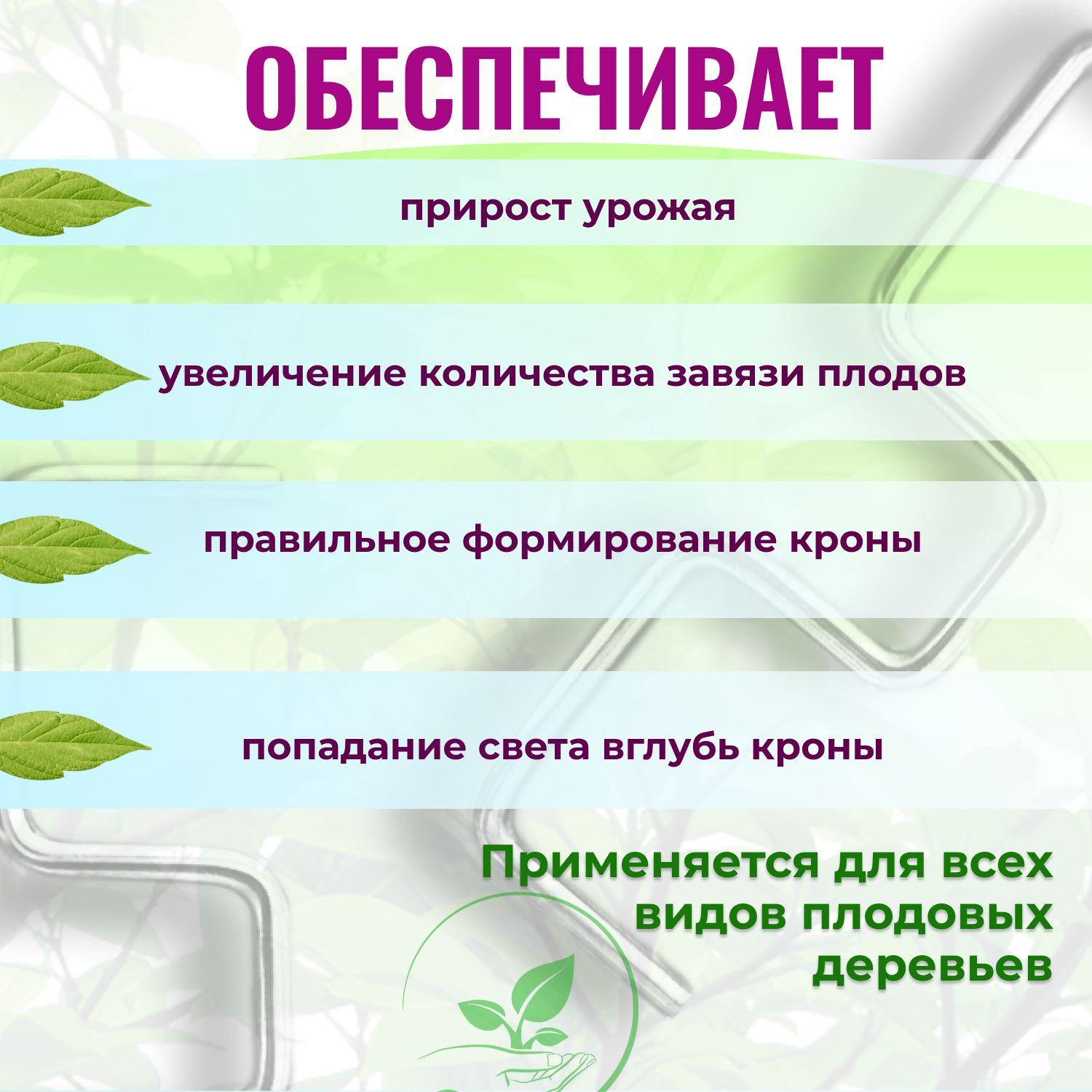 https://cdn1.ozone.ru/s3/multimedia-1-3/7009875903.jpg