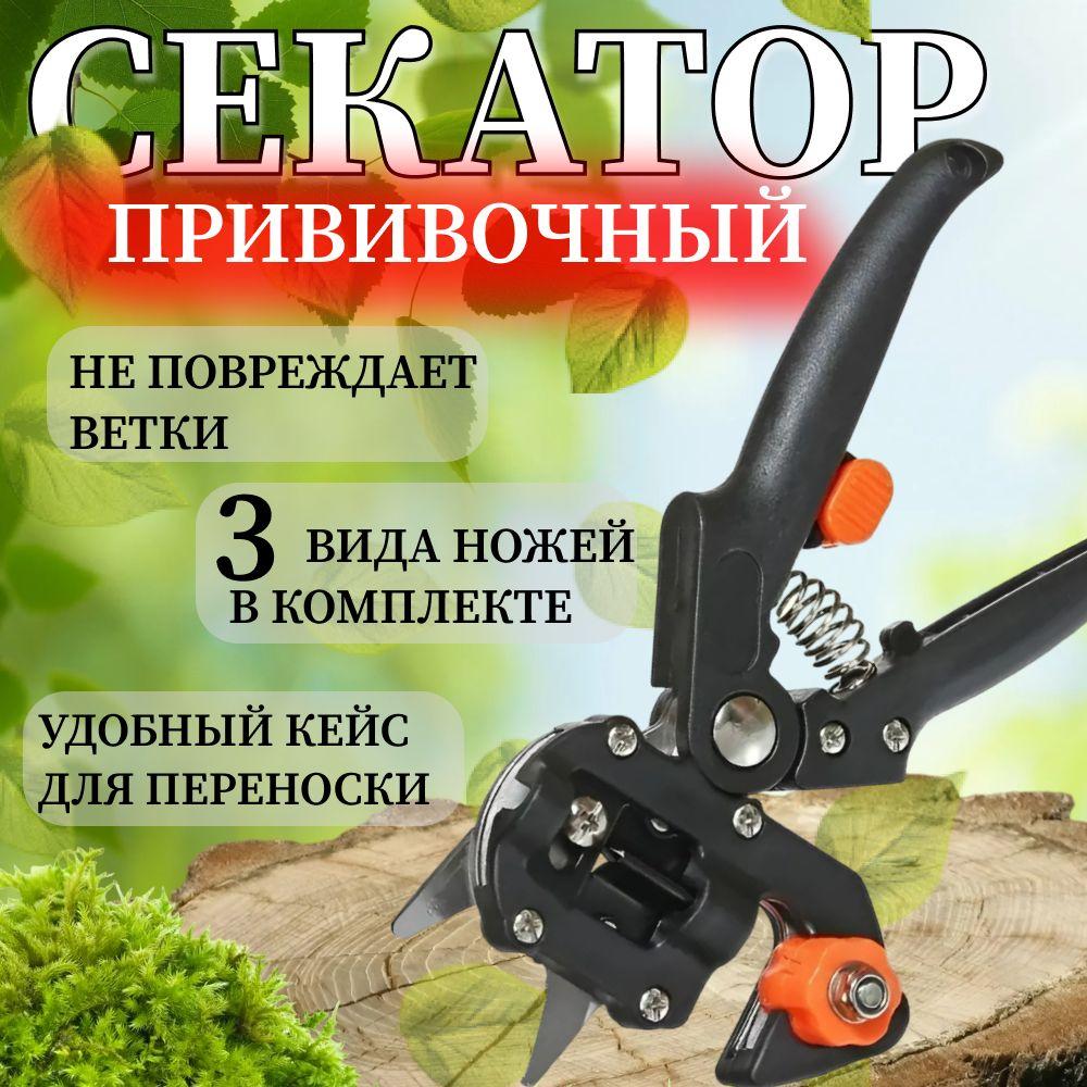 https://cdn1.ozone.ru/s3/multimedia-1-3/7052416275.jpg