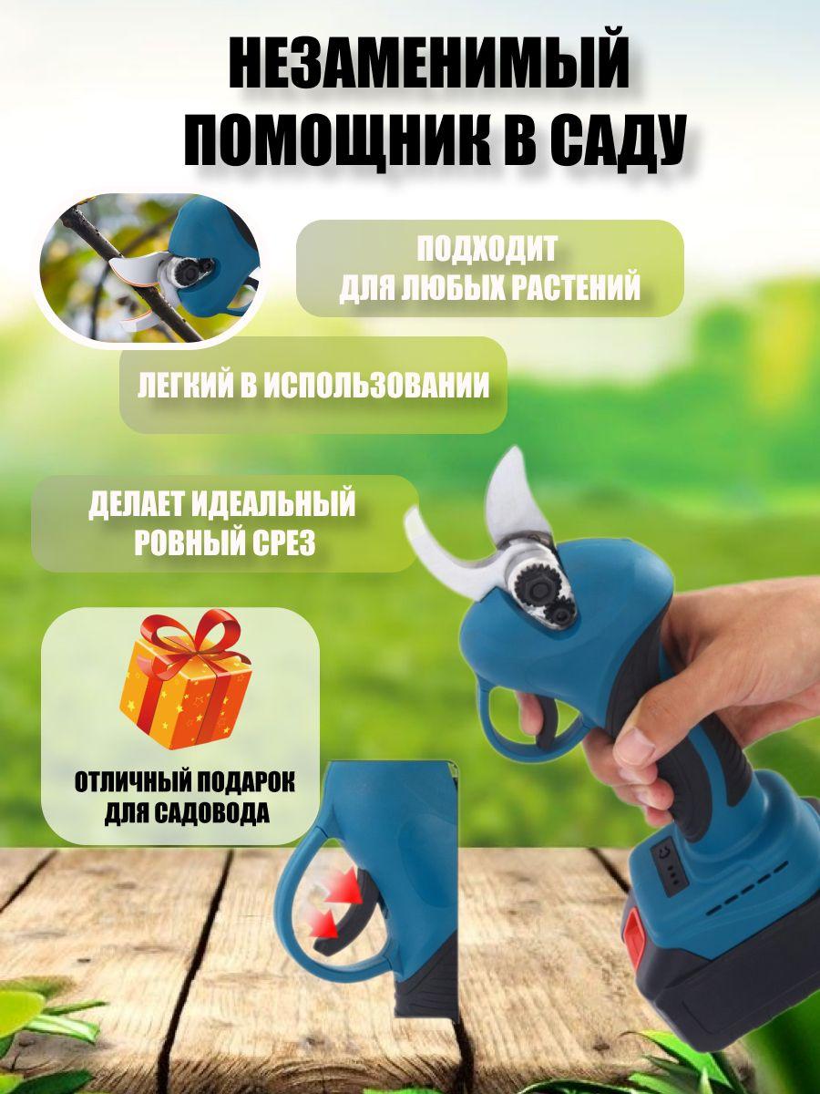 https://cdn1.ozone.ru/s3/multimedia-1-4/6963715120.jpg