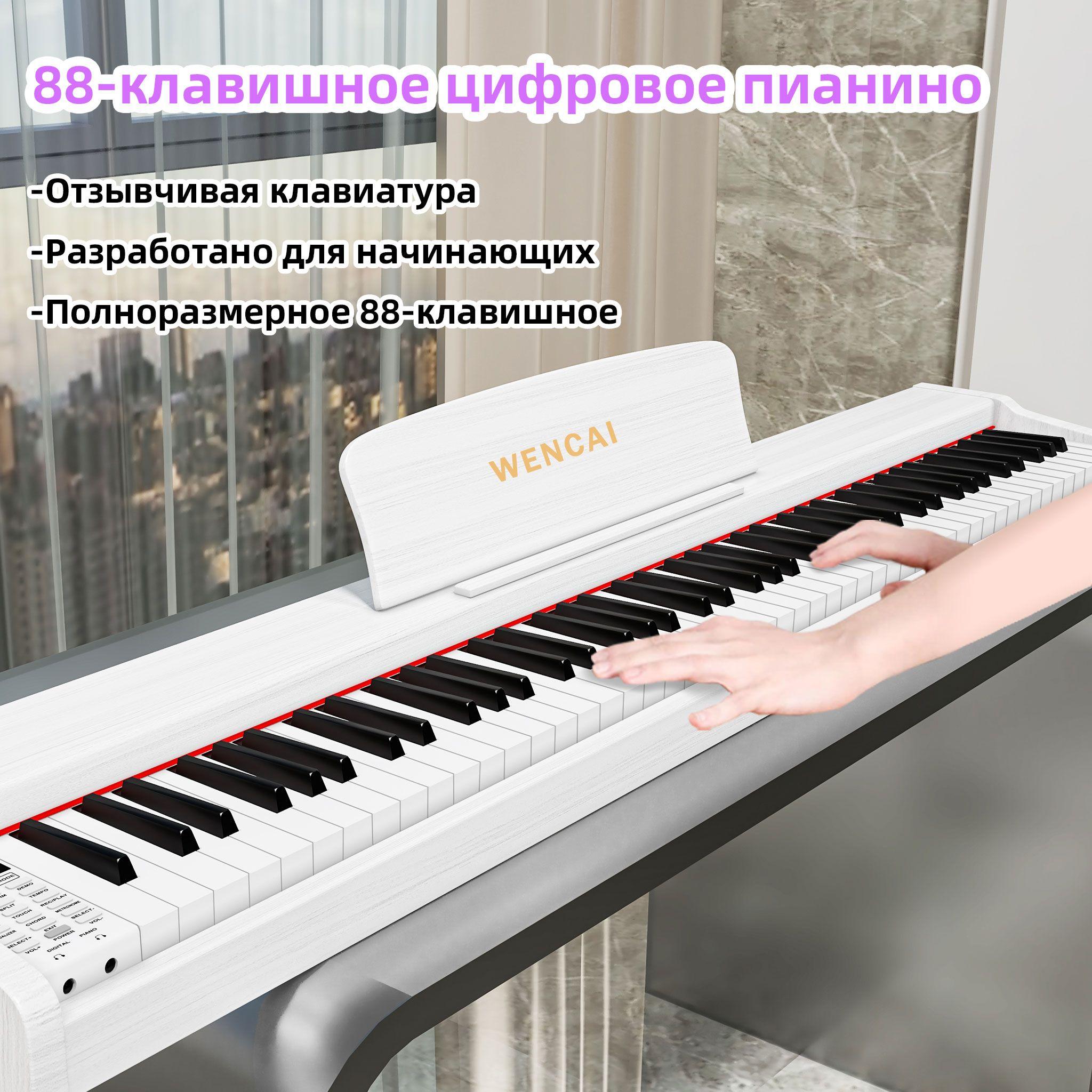 https://cdn1.ozone.ru/s3/multimedia-1-4/7058116192.jpg