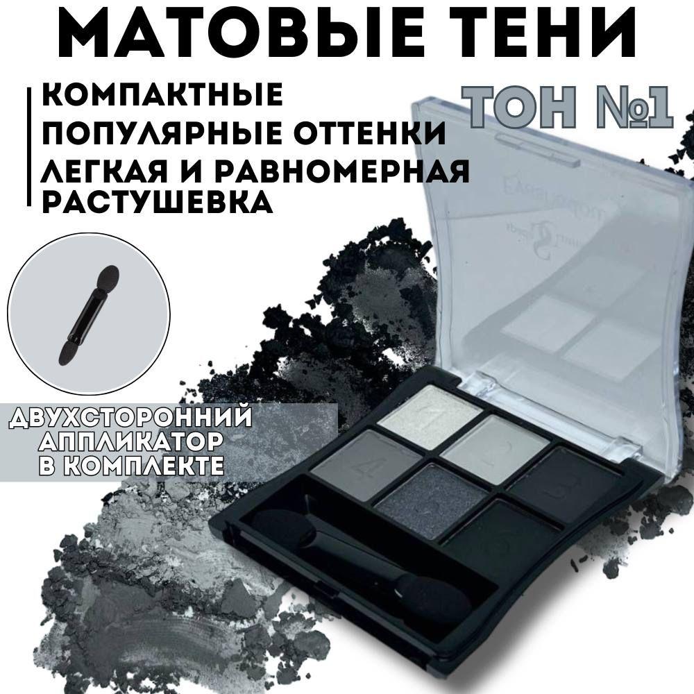 Spada Cosmetics Тени для век матовые профессиональные серые палетка 6 цветов с аппликатором.