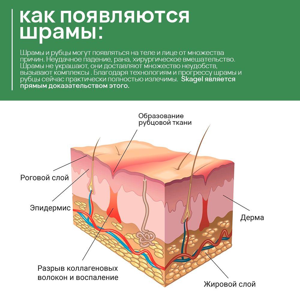 https://cdn1.ozone.ru/s3/multimedia-1-4/7101690952.jpg