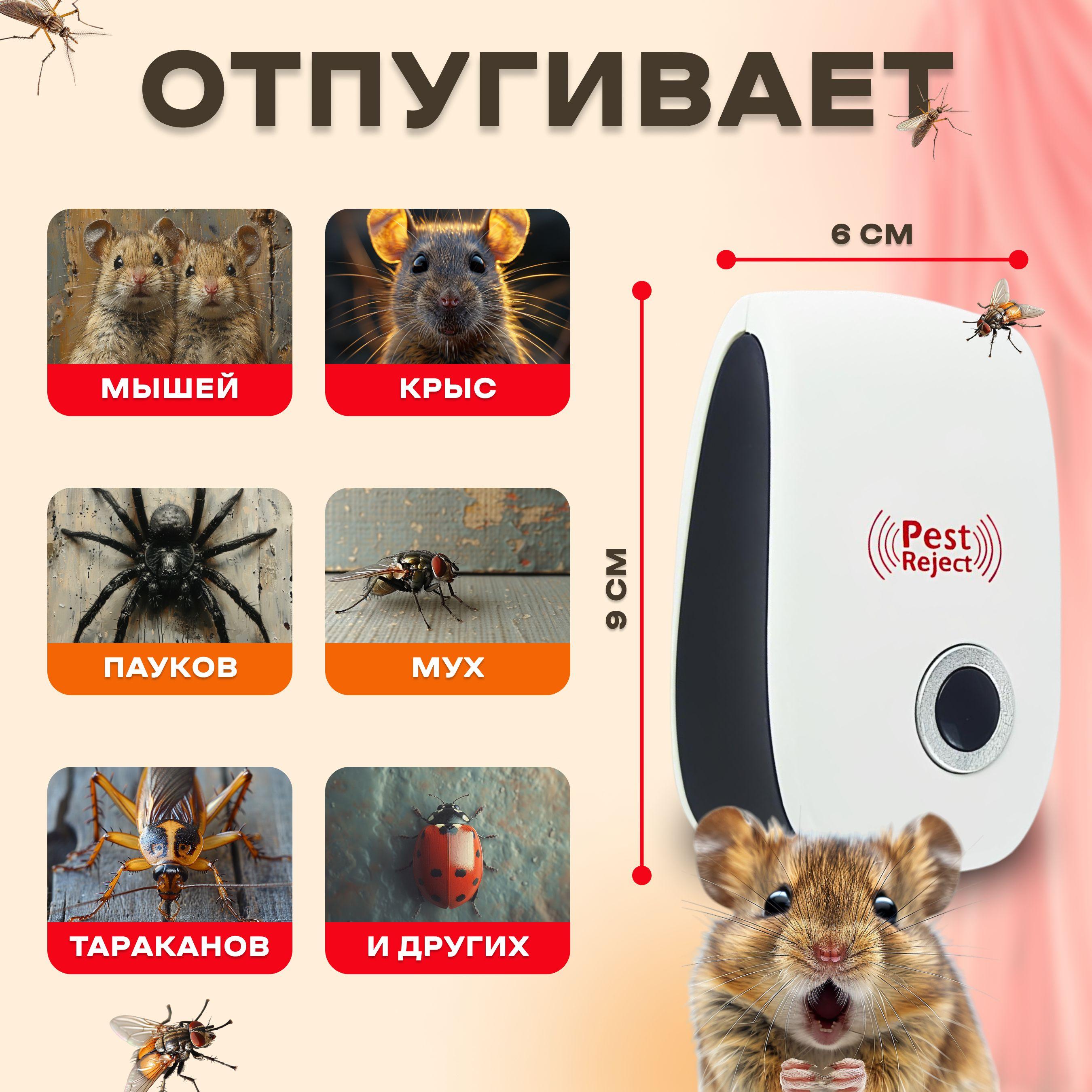 https://cdn1.ozone.ru/s3/multimedia-1-4/7129834024.jpg