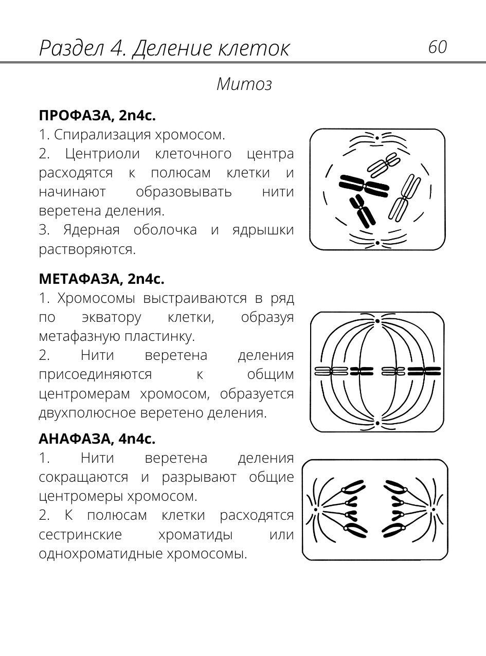 https://cdn1.ozone.ru/s3/multimedia-1-5/6945632033.jpg