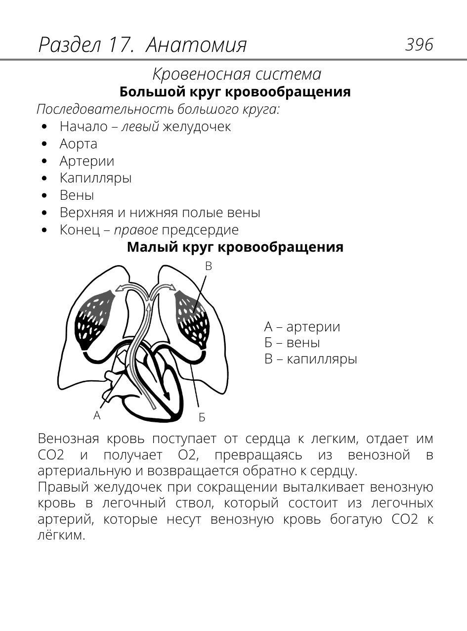 https://cdn1.ozone.ru/s3/multimedia-1-6/6945632034.jpg