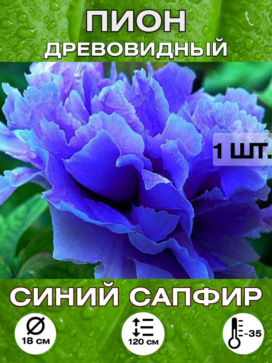 Magic Blooming Garden | Magic Blooming Garden Семена ,1шт