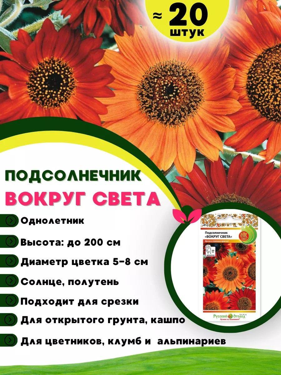 https://cdn1.ozone.ru/s3/multimedia-1-6/7047844602.jpg