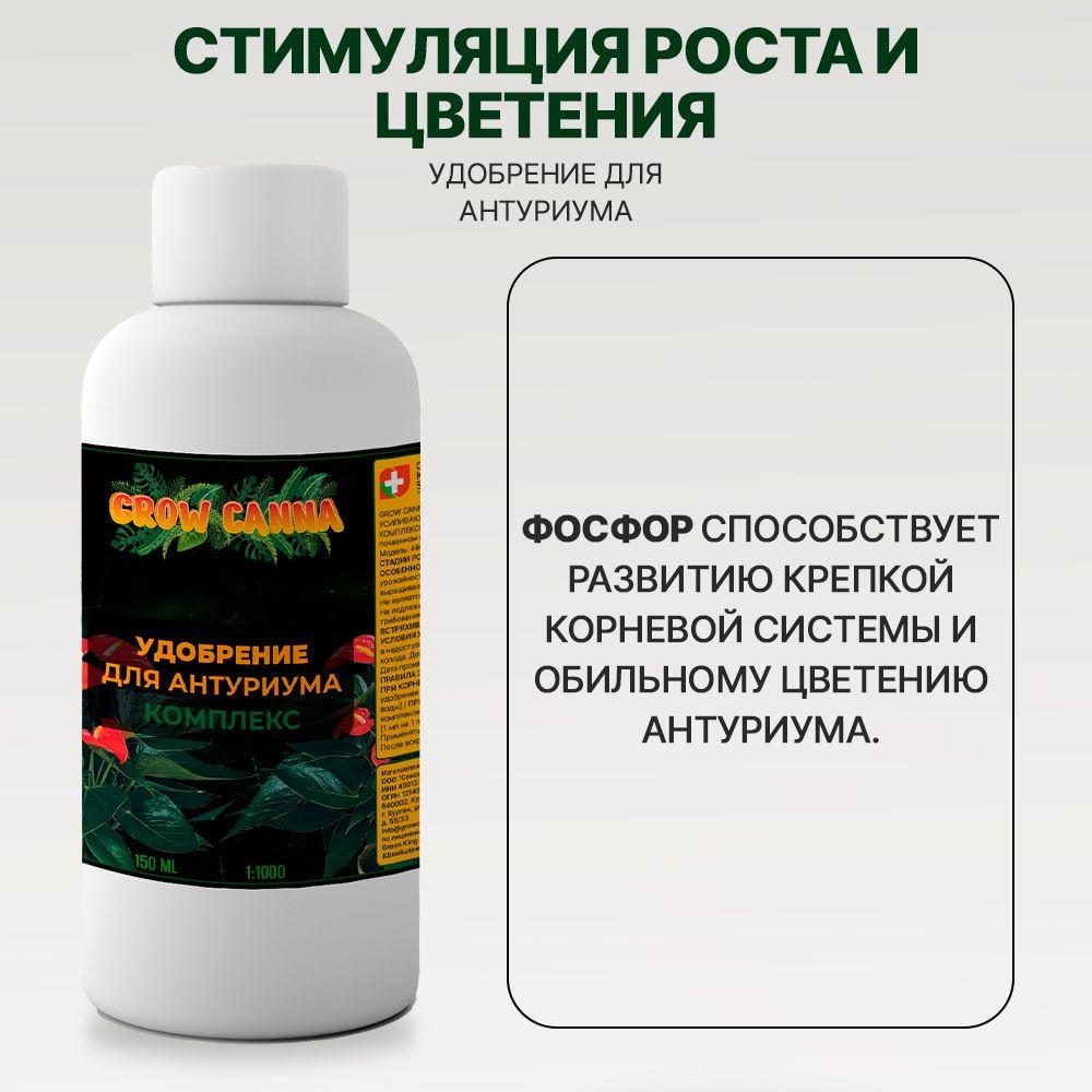 https://cdn1.ozone.ru/s3/multimedia-1-6/7074945150.jpg