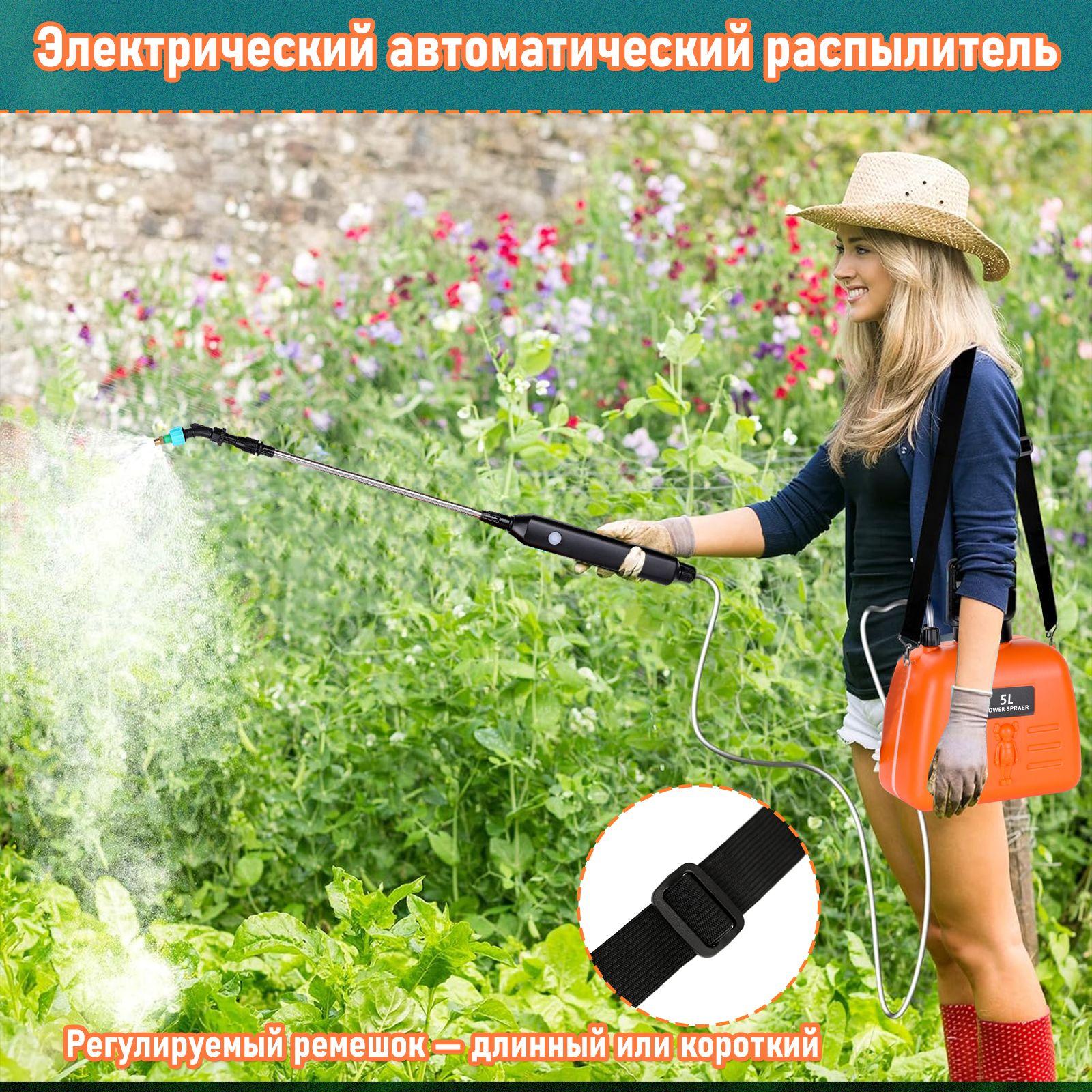 https://cdn1.ozone.ru/s3/multimedia-1-6/7095641838.jpg