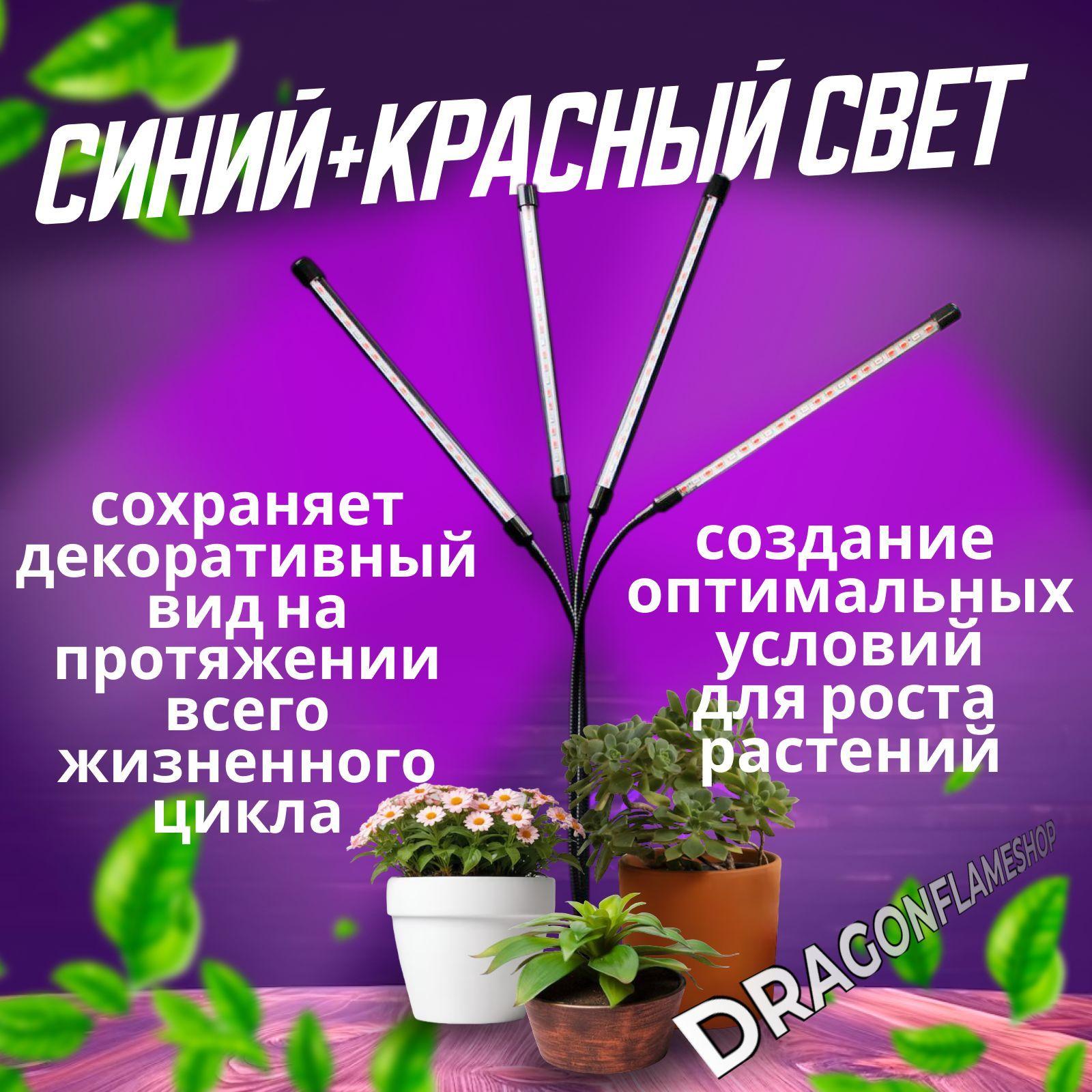 https://cdn1.ozone.ru/s3/multimedia-1-6/7183735062.jpg