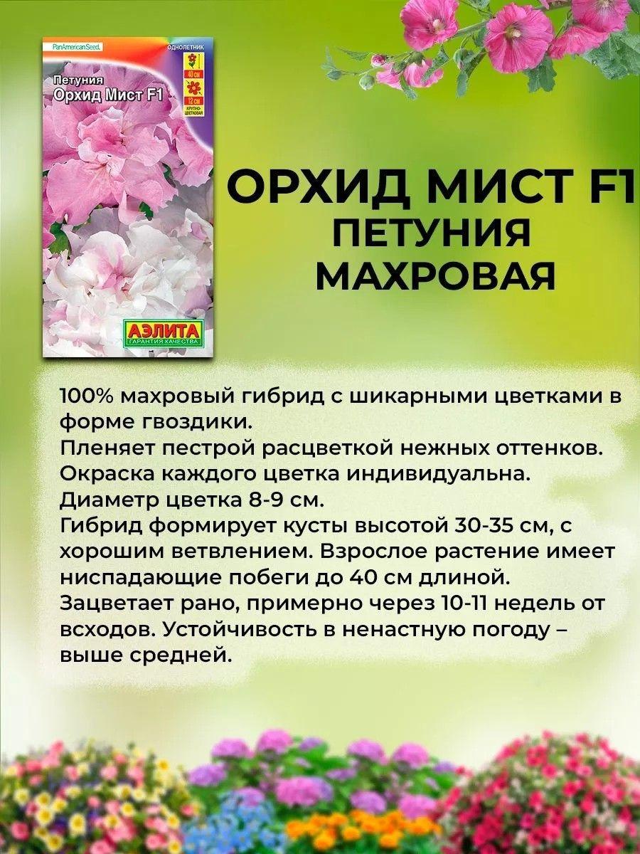 https://cdn1.ozone.ru/s3/multimedia-1-7/7046610811.jpg