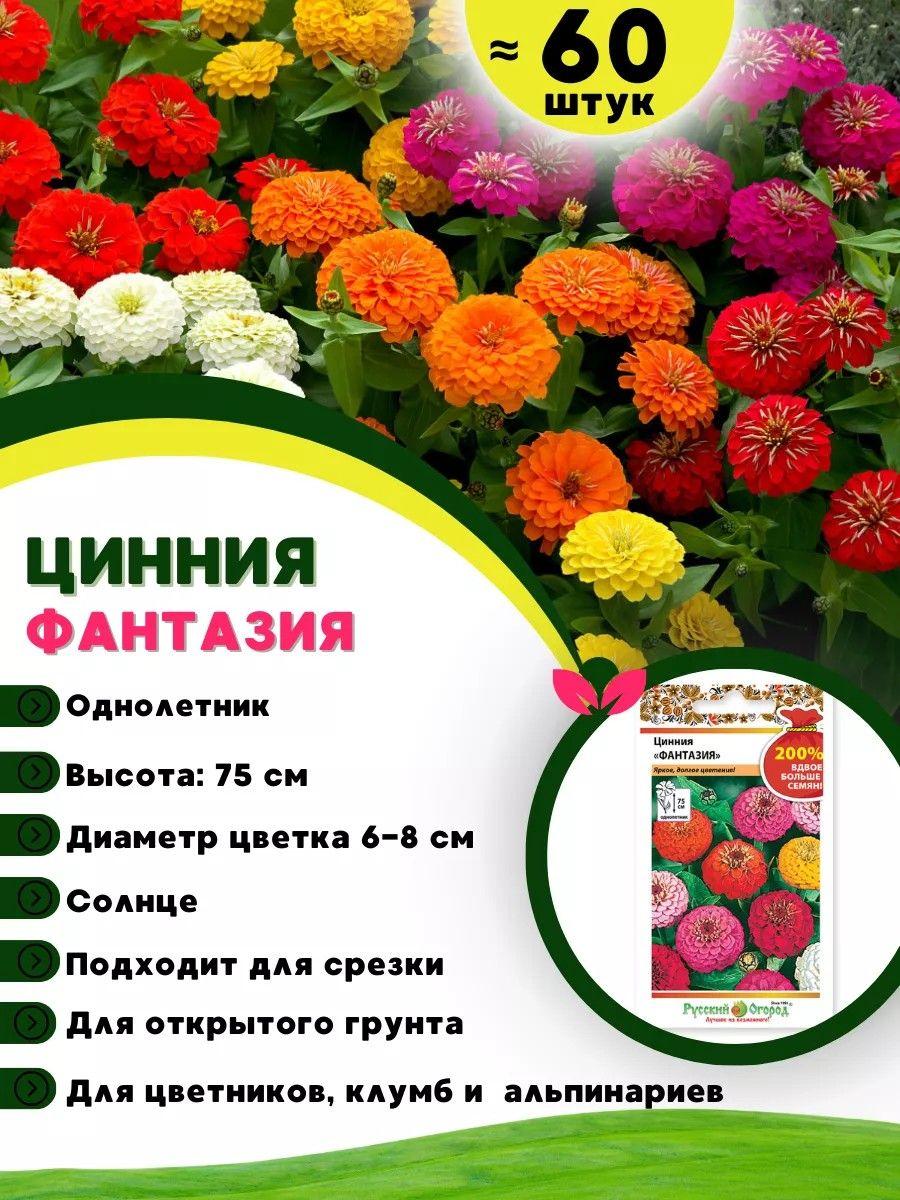 https://cdn1.ozone.ru/s3/multimedia-1-7/7047844603.jpg