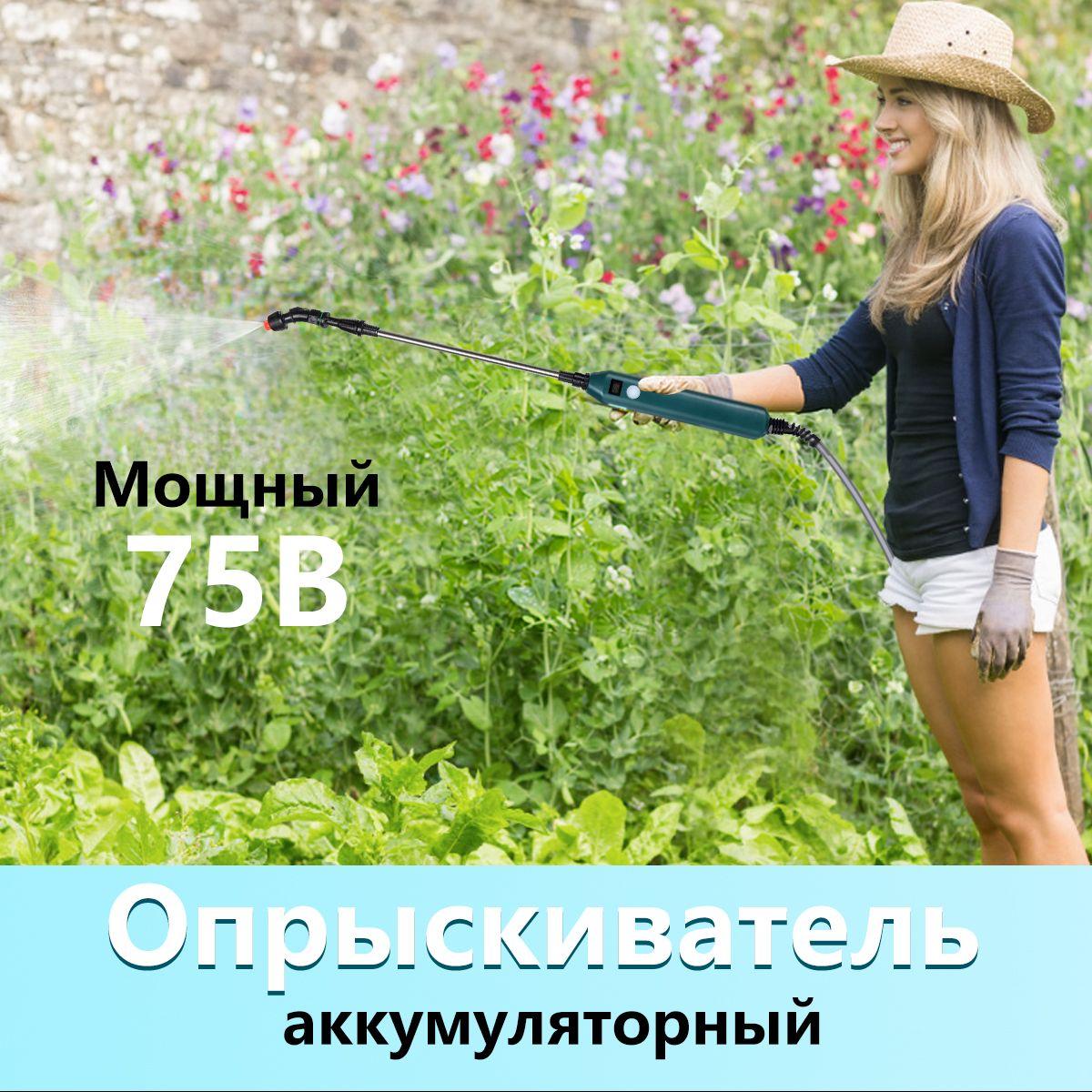 https://cdn1.ozone.ru/s3/multimedia-1-7/7076255227.jpg