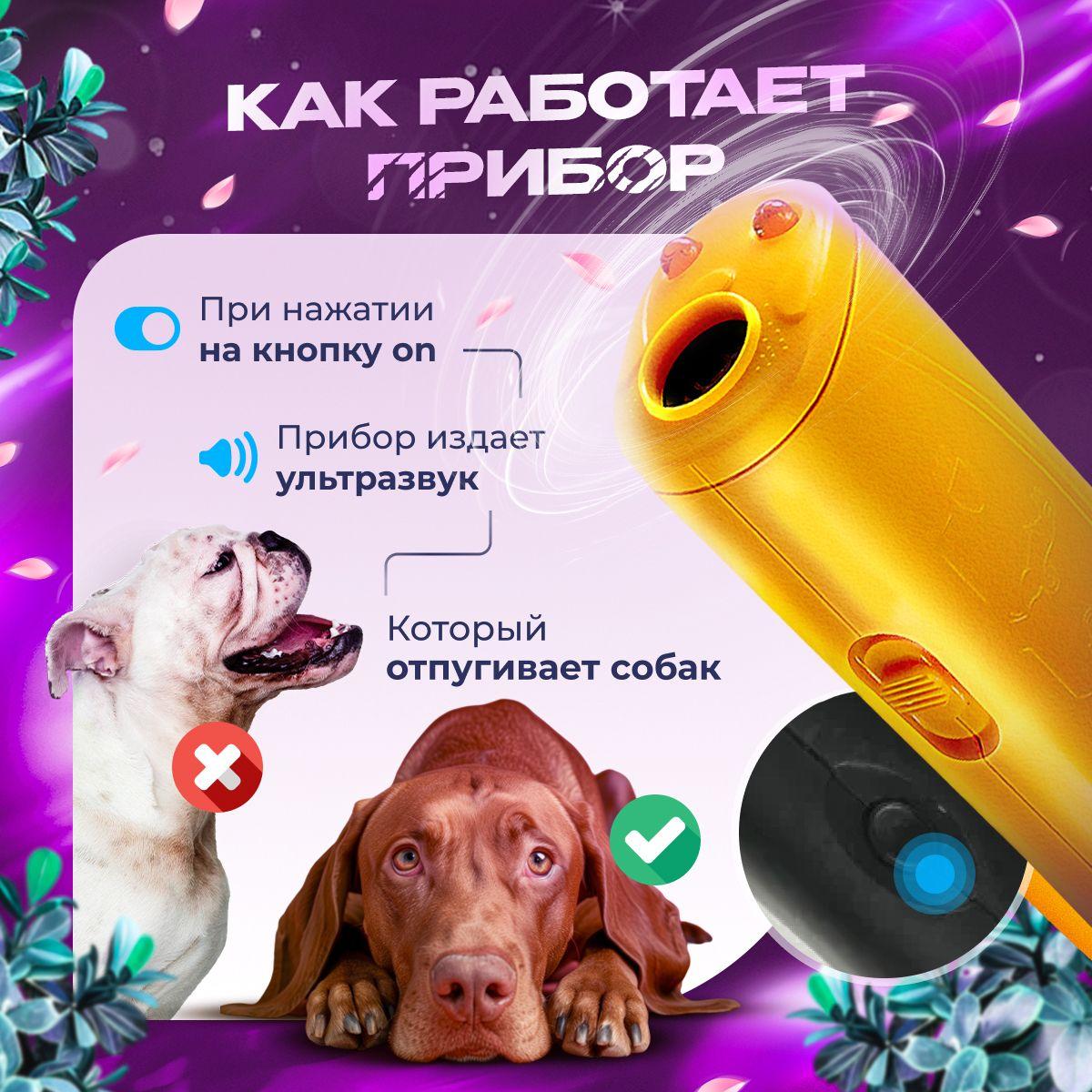 https://cdn1.ozone.ru/s3/multimedia-1-7/7107691615.jpg