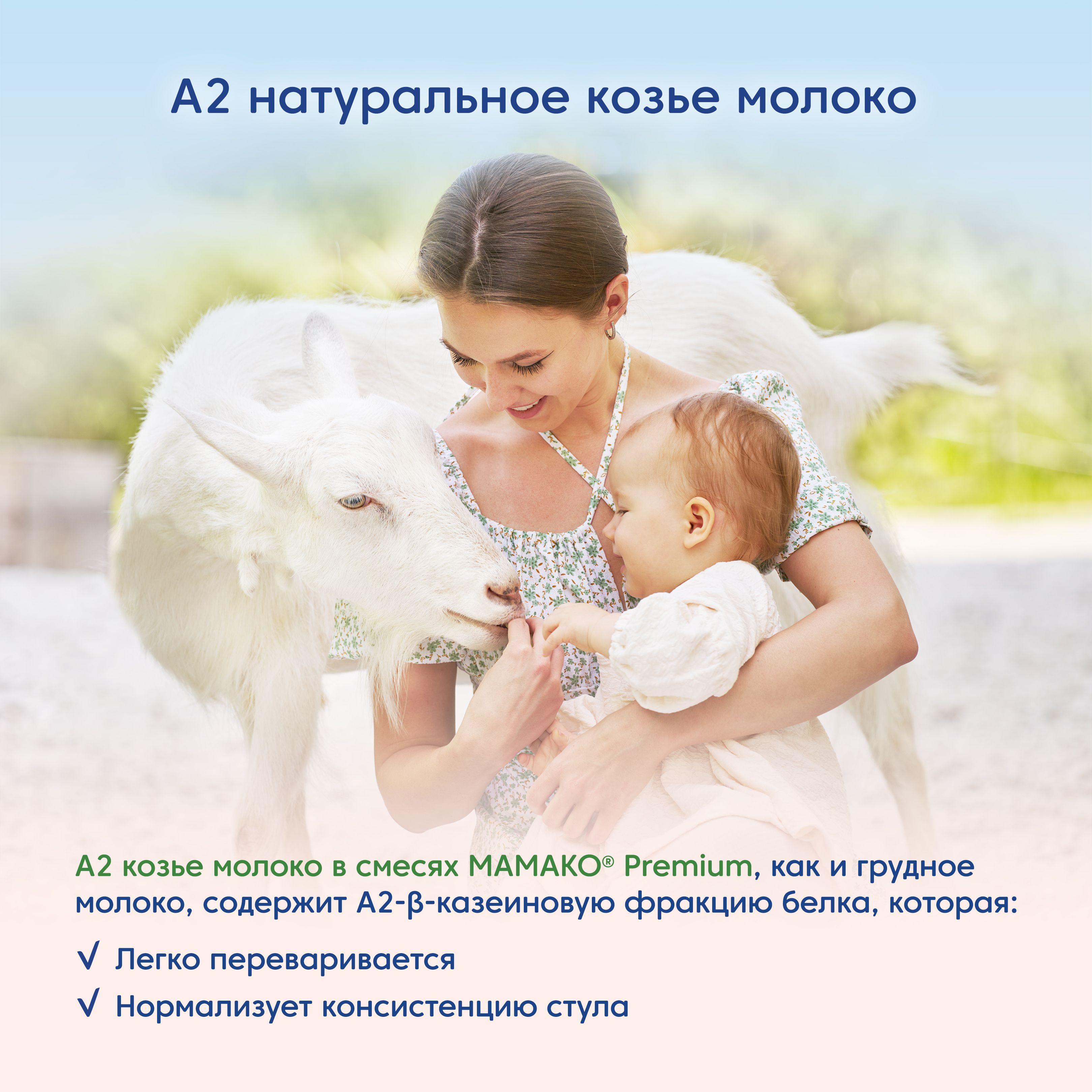 https://cdn1.ozone.ru/s3/multimedia-1-7/7109163295.jpg