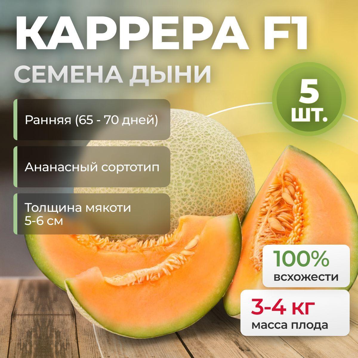 КАРРЕРА F1 семена дыни (Nunhems / ALEXAGRO)5 шт.