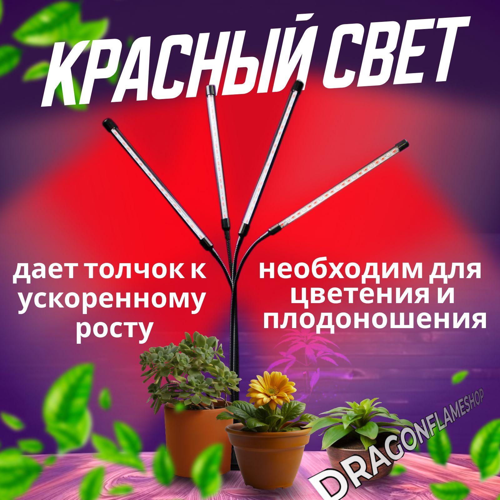 https://cdn1.ozone.ru/s3/multimedia-1-7/7183735063.jpg