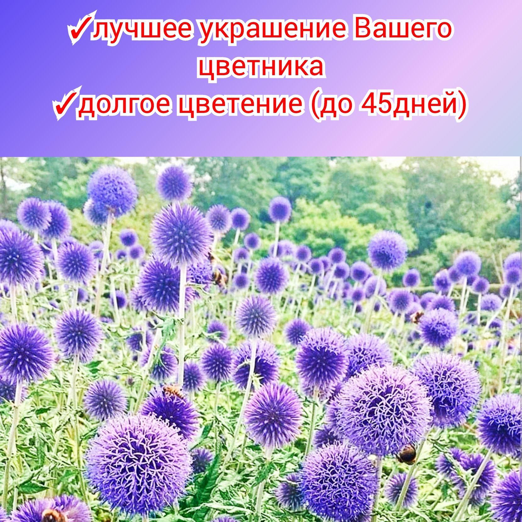 https://cdn1.ozone.ru/s3/multimedia-1-8/6912103760.jpg