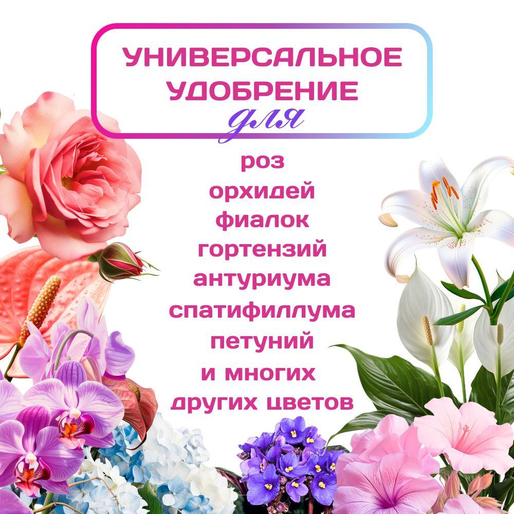 https://cdn1.ozone.ru/s3/multimedia-1-8/6928563176.jpg