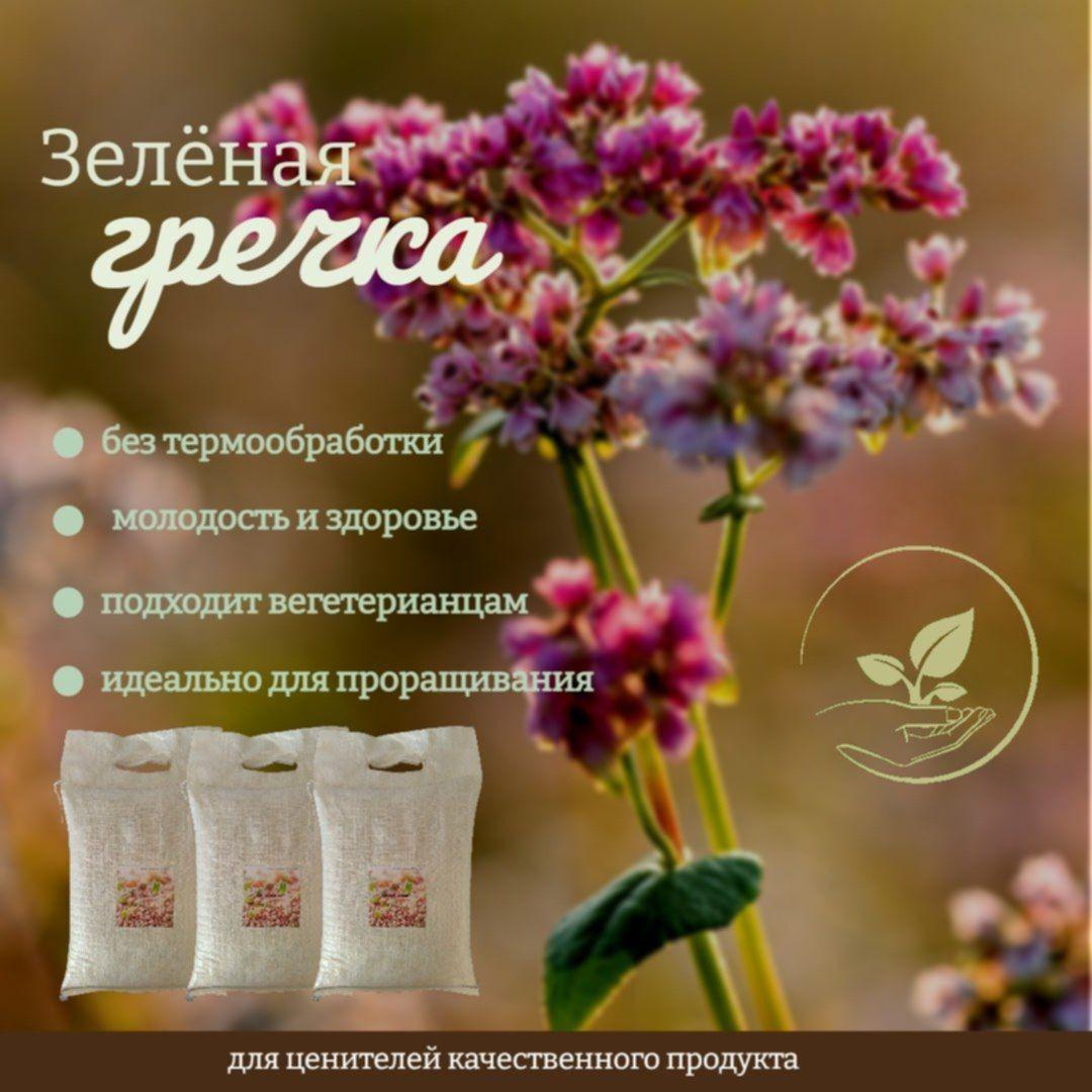 Гречка зеленая 5 кг