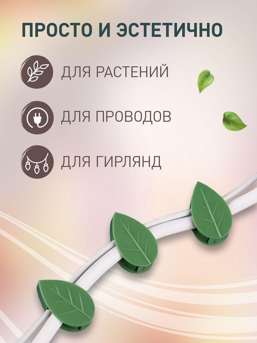 https://cdn1.ozone.ru/s3/multimedia-1-8/7036433468.jpg