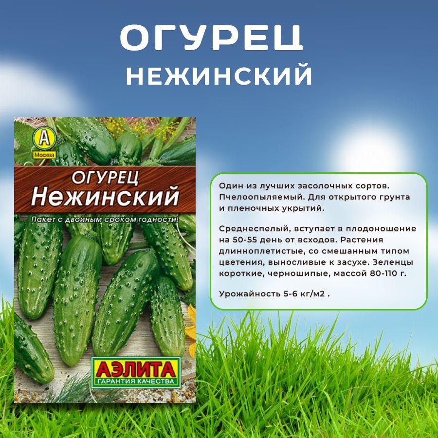 https://cdn1.ozone.ru/s3/multimedia-1-8/7039765844.jpg