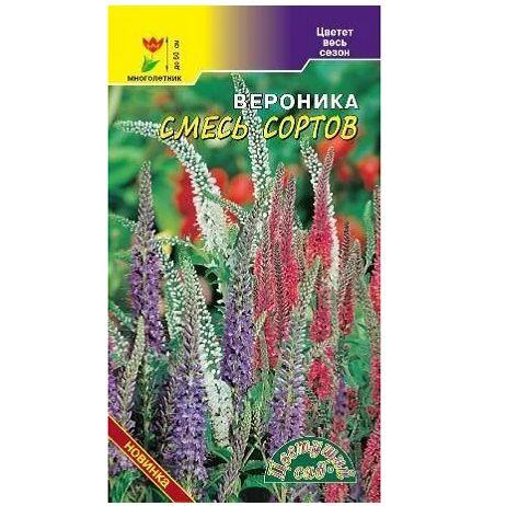 Семена Вероника колосистая Смесь окрасок. Соцветия синие, сиреневые, белые, розовые! Многолетник!