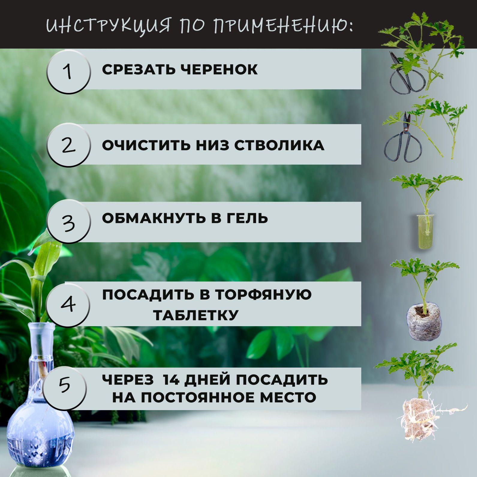 https://cdn1.ozone.ru/s3/multimedia-1-8/7097842916.jpg