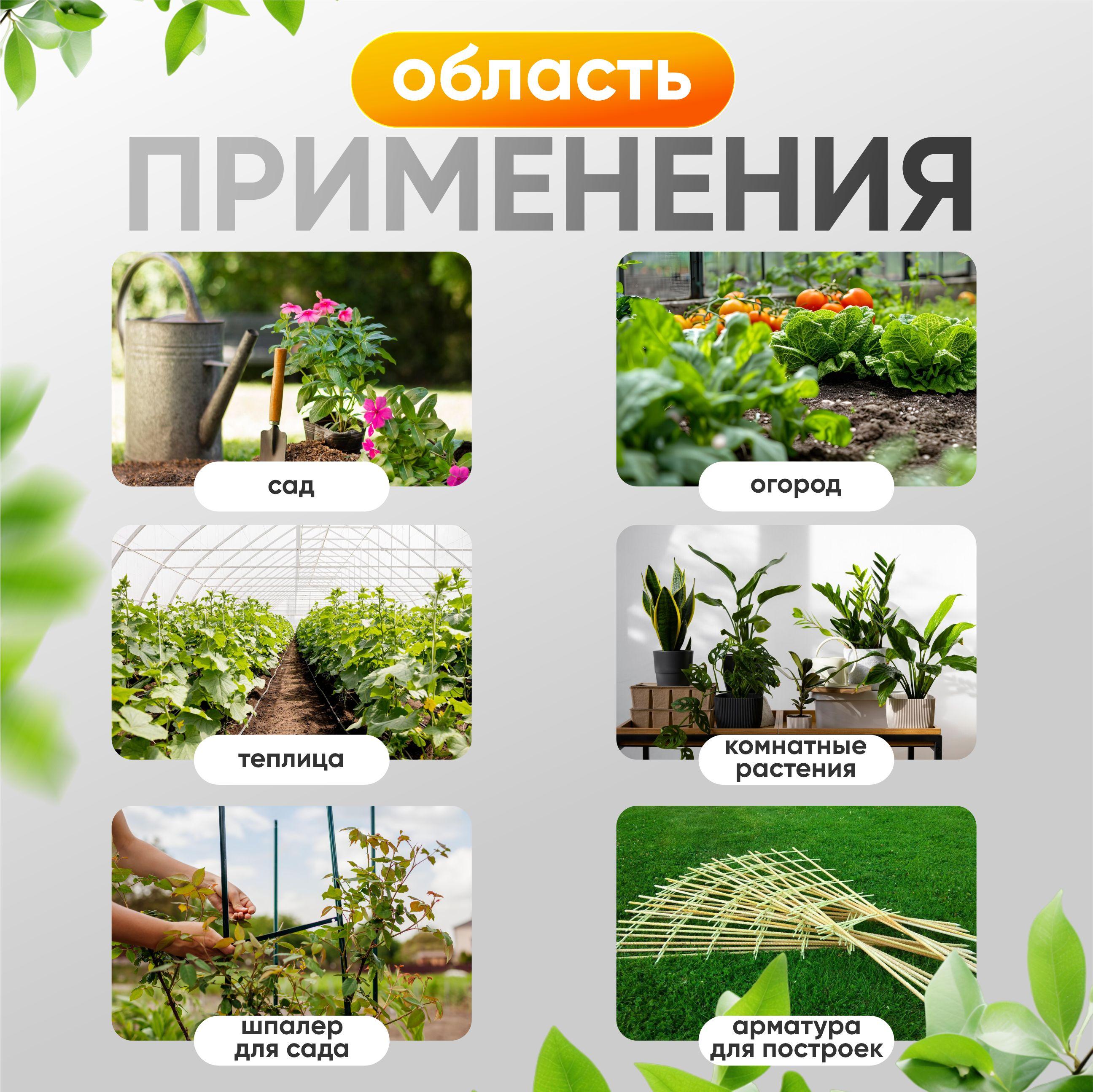 https://cdn1.ozone.ru/s3/multimedia-1-8/7101597752.jpg