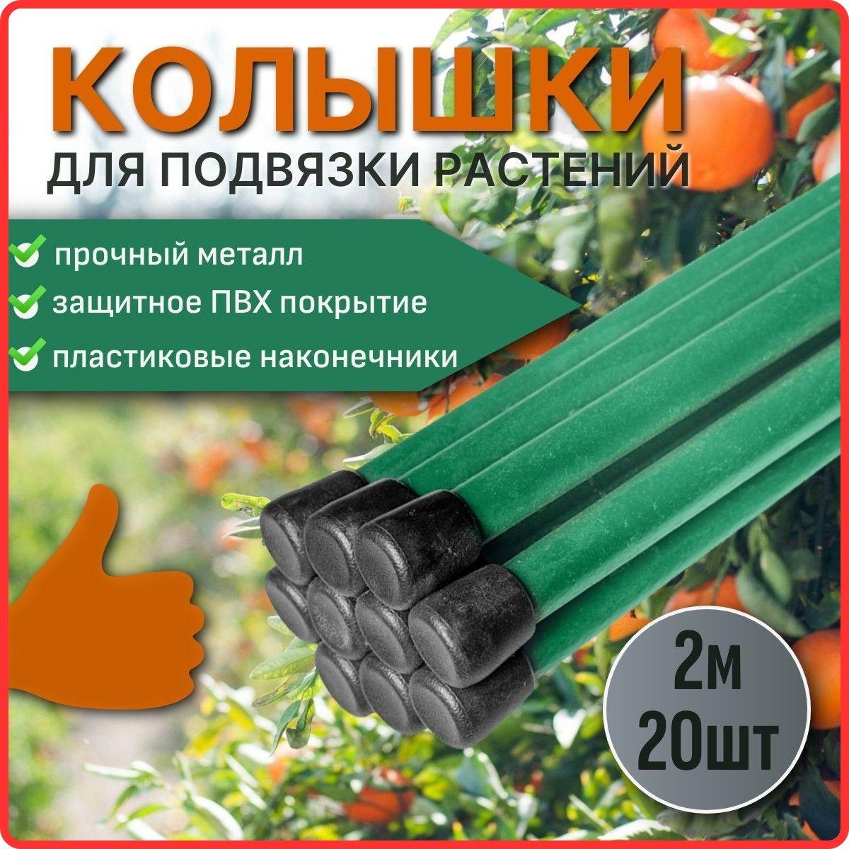 https://cdn1.ozone.ru/s3/multimedia-1-8/7135810136.jpg