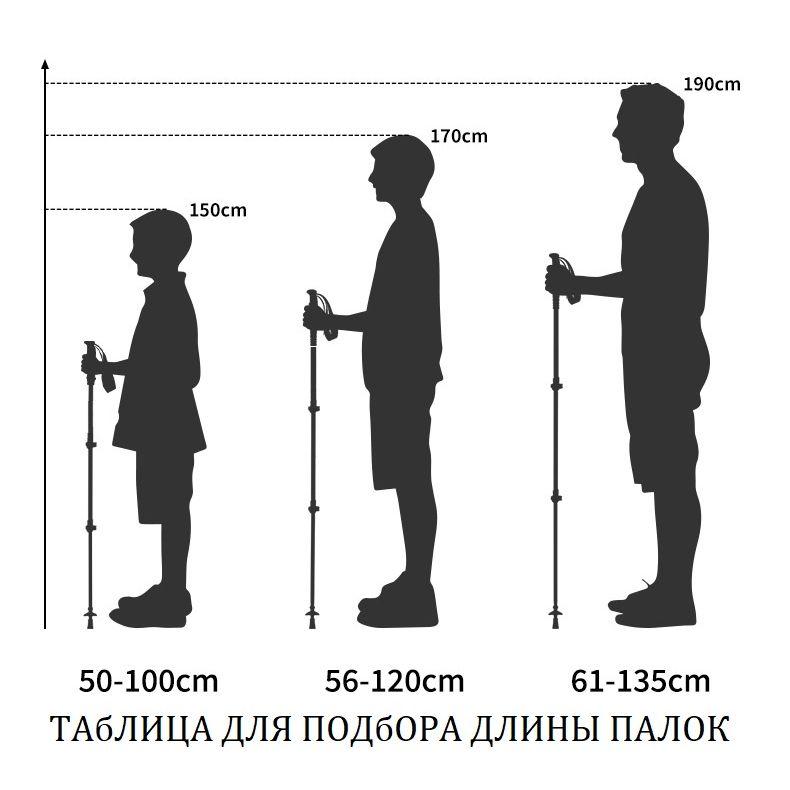 https://cdn1.ozone.ru/s3/multimedia-1-8/7141153436.jpg