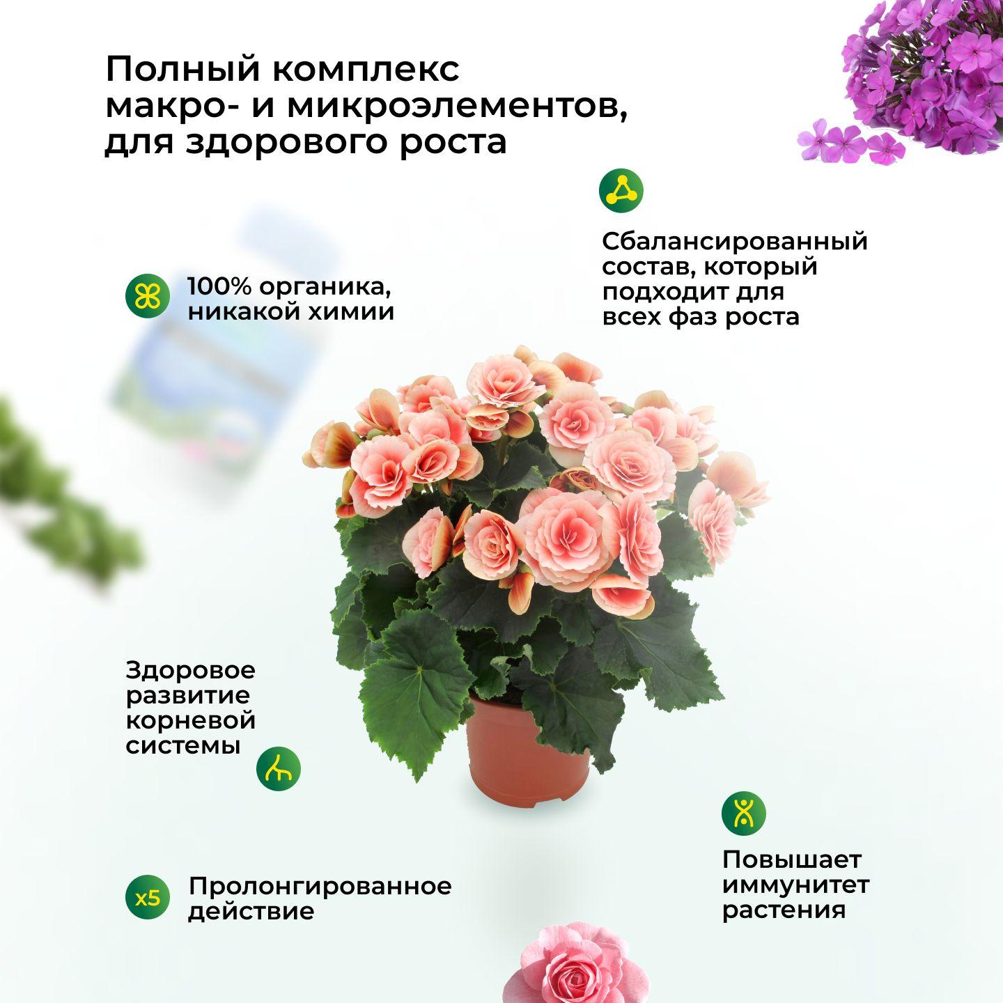 https://cdn1.ozone.ru/s3/multimedia-1-8/7162172972.jpg