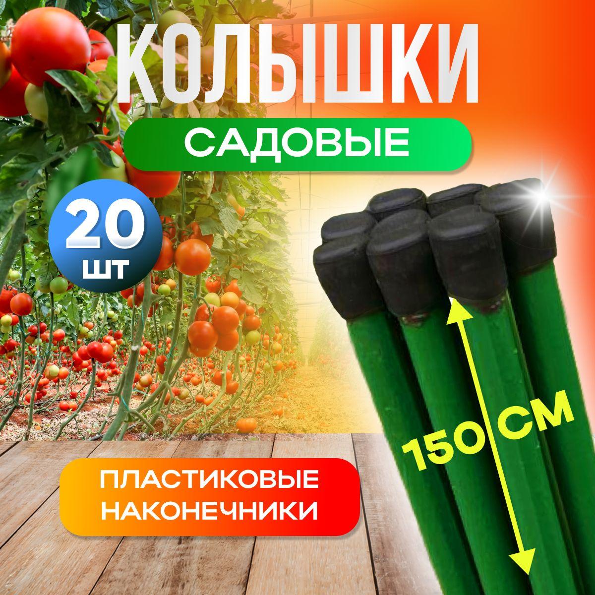 https://cdn1.ozone.ru/s3/multimedia-1-9/6907076145.jpg