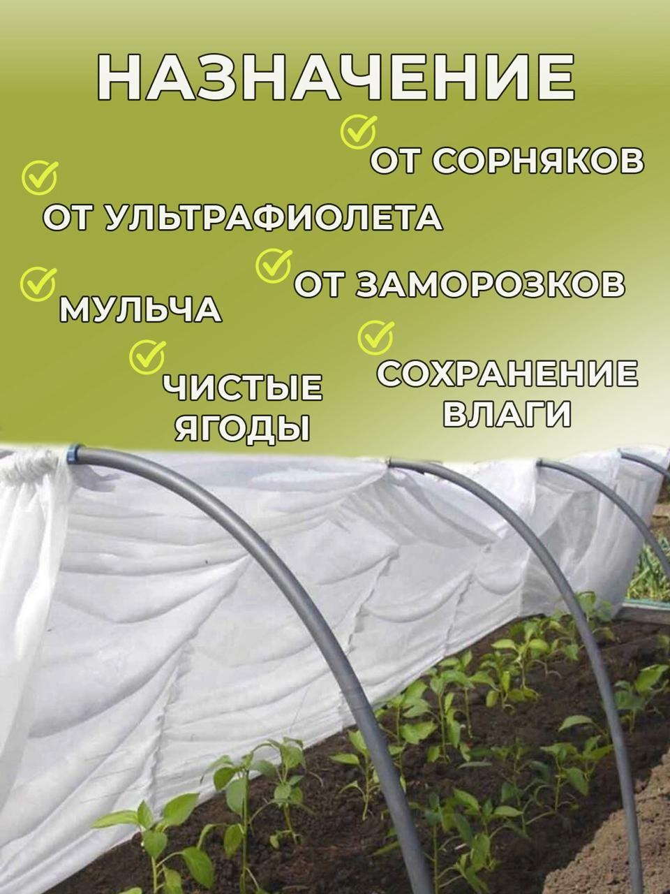 https://cdn1.ozone.ru/s3/multimedia-1-9/6975434853.jpg