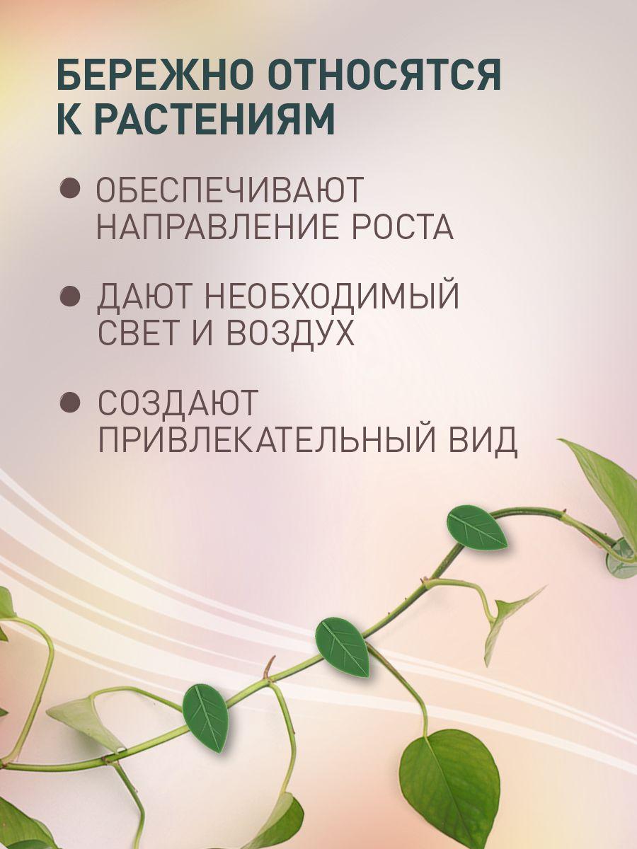 https://cdn1.ozone.ru/s3/multimedia-1-9/7036433469.jpg