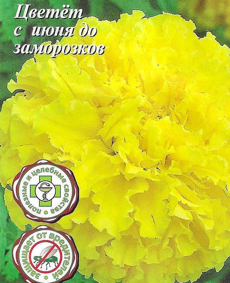 https://cdn1.ozone.ru/s3/multimedia-1-9/7075972341.jpg