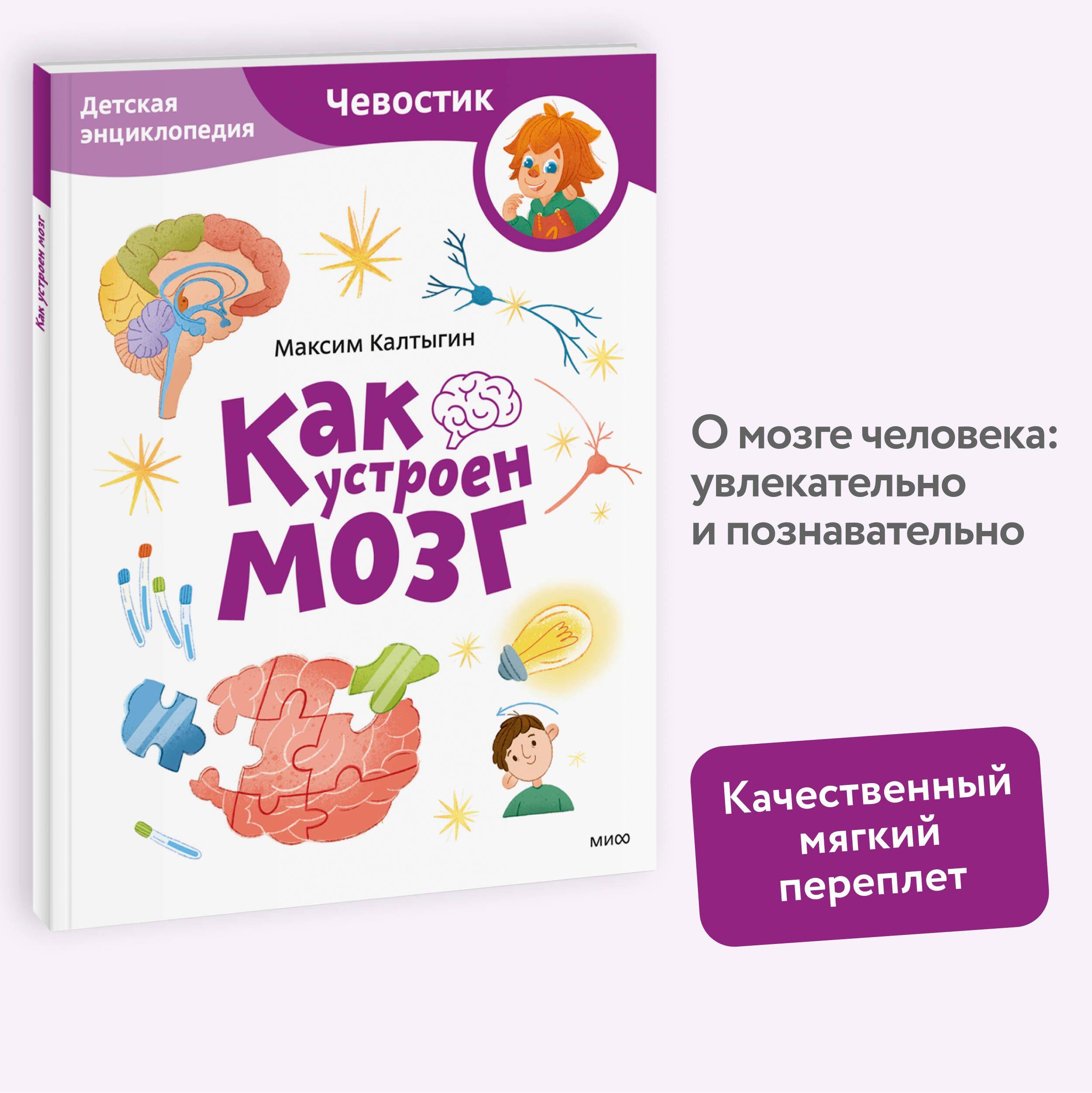 Как устроен мозг. Детская энциклопедия (Чевостик) (Paperback)