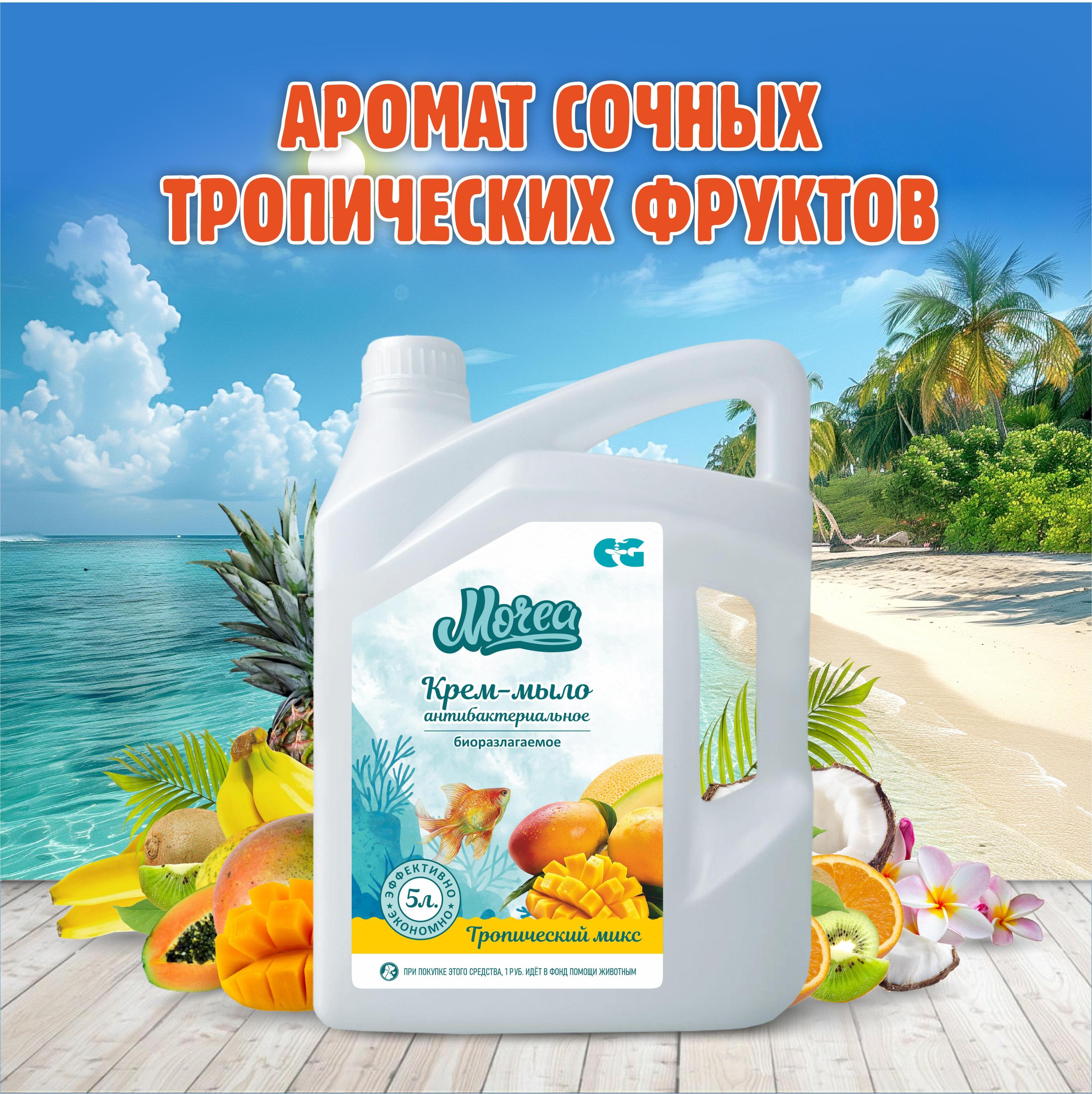 https://cdn1.ozone.ru/s3/multimedia-1-9/7119704529.jpg