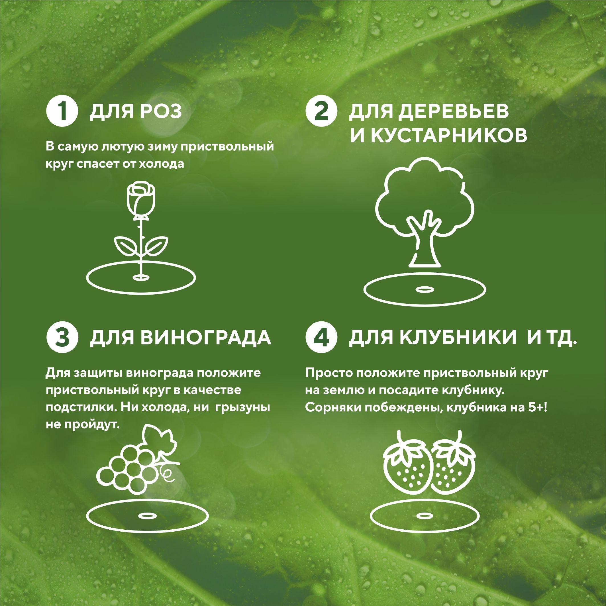 https://cdn1.ozone.ru/s3/multimedia-1-9/7148184057.jpg