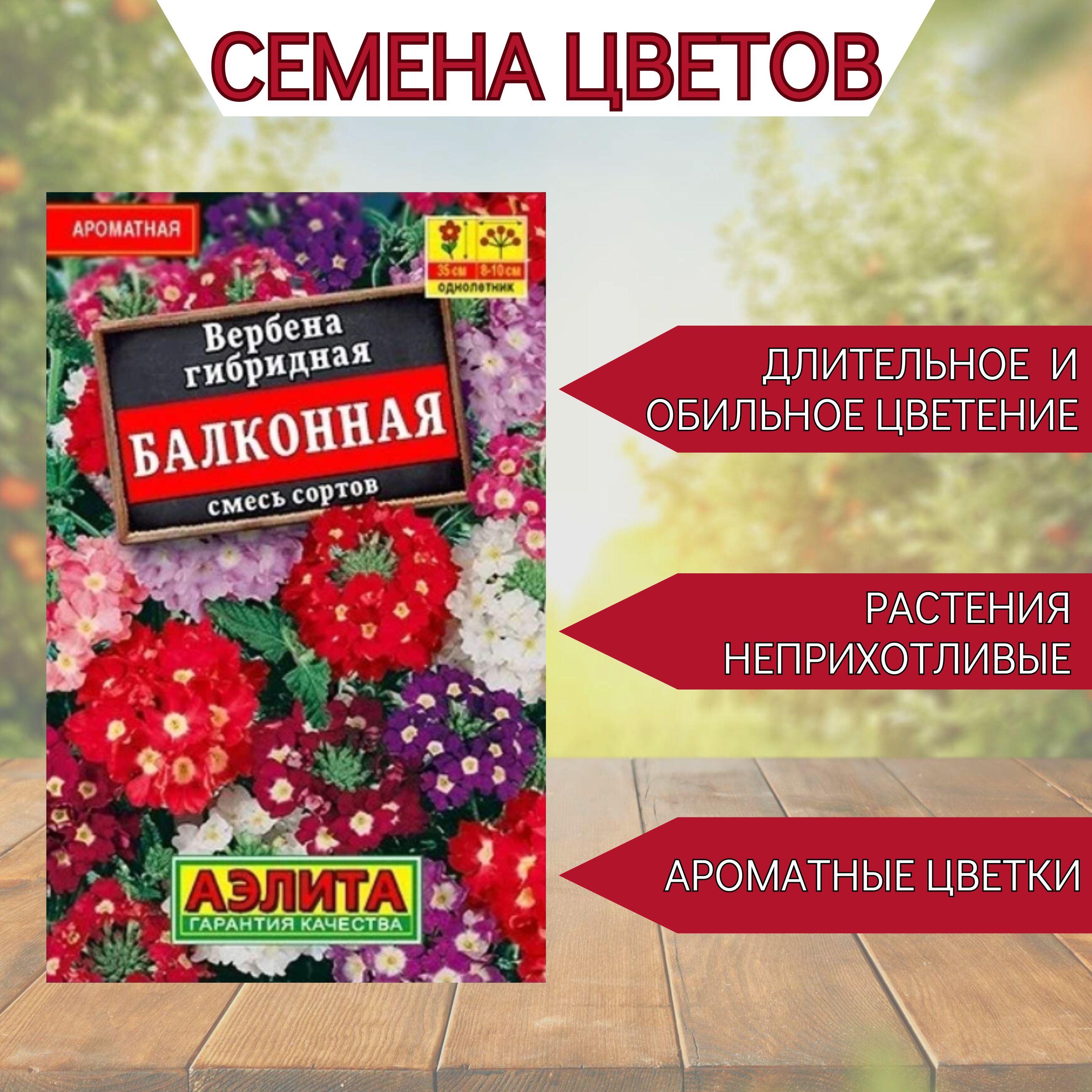 Аэлита | Аэлита Семена ,40шт