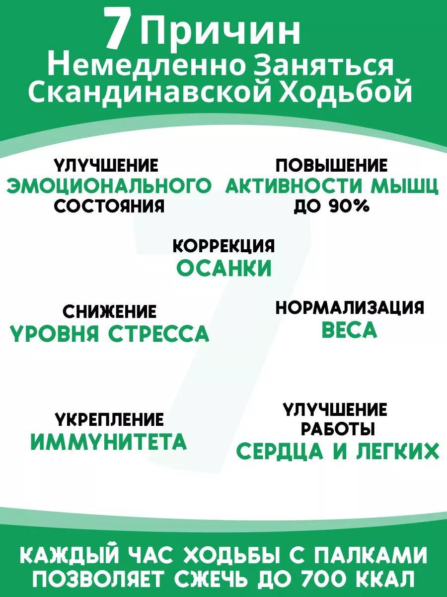 https://cdn1.ozone.ru/s3/multimedia-1-a/7055675830.jpg