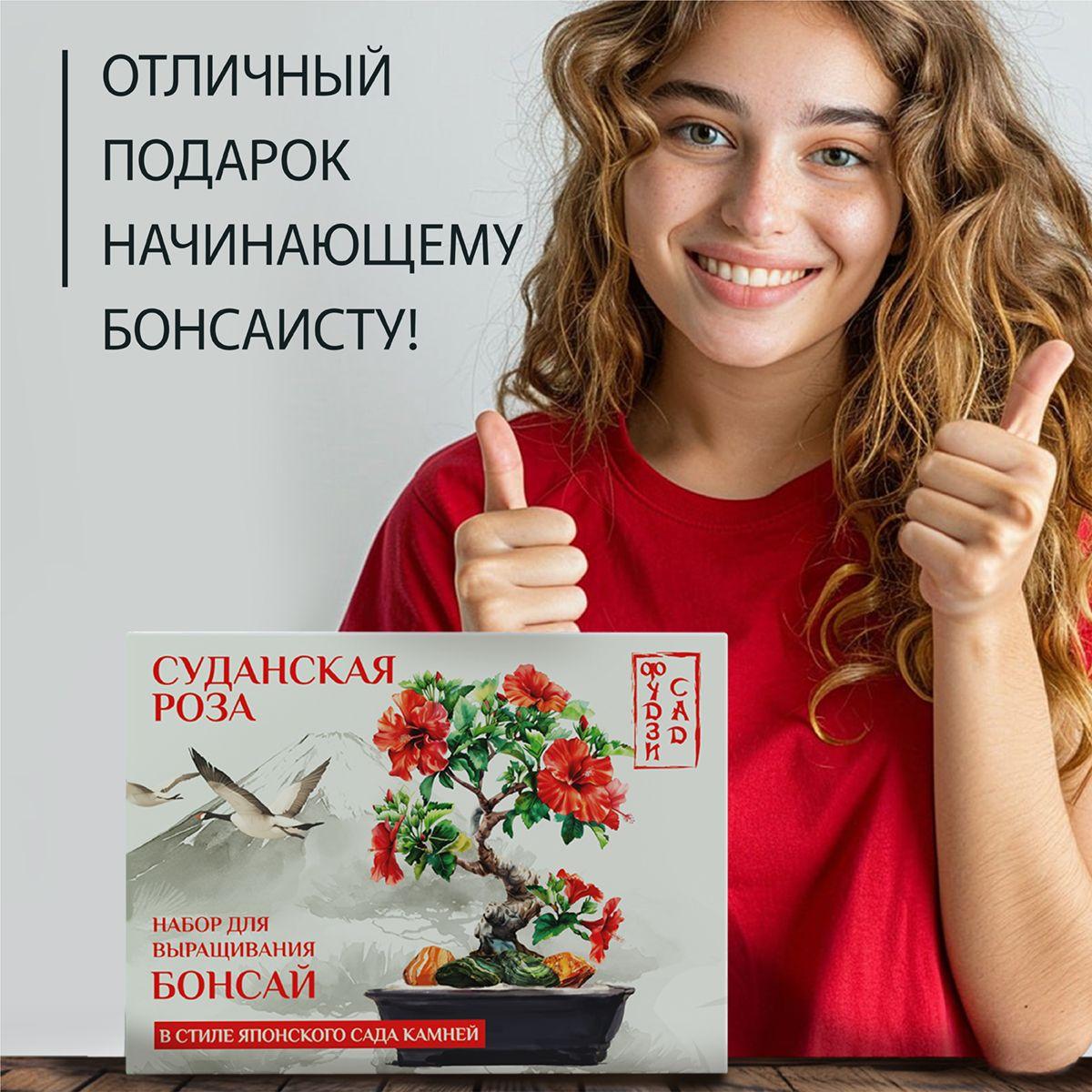 https://cdn1.ozone.ru/s3/multimedia-1-a/7065082270.jpg