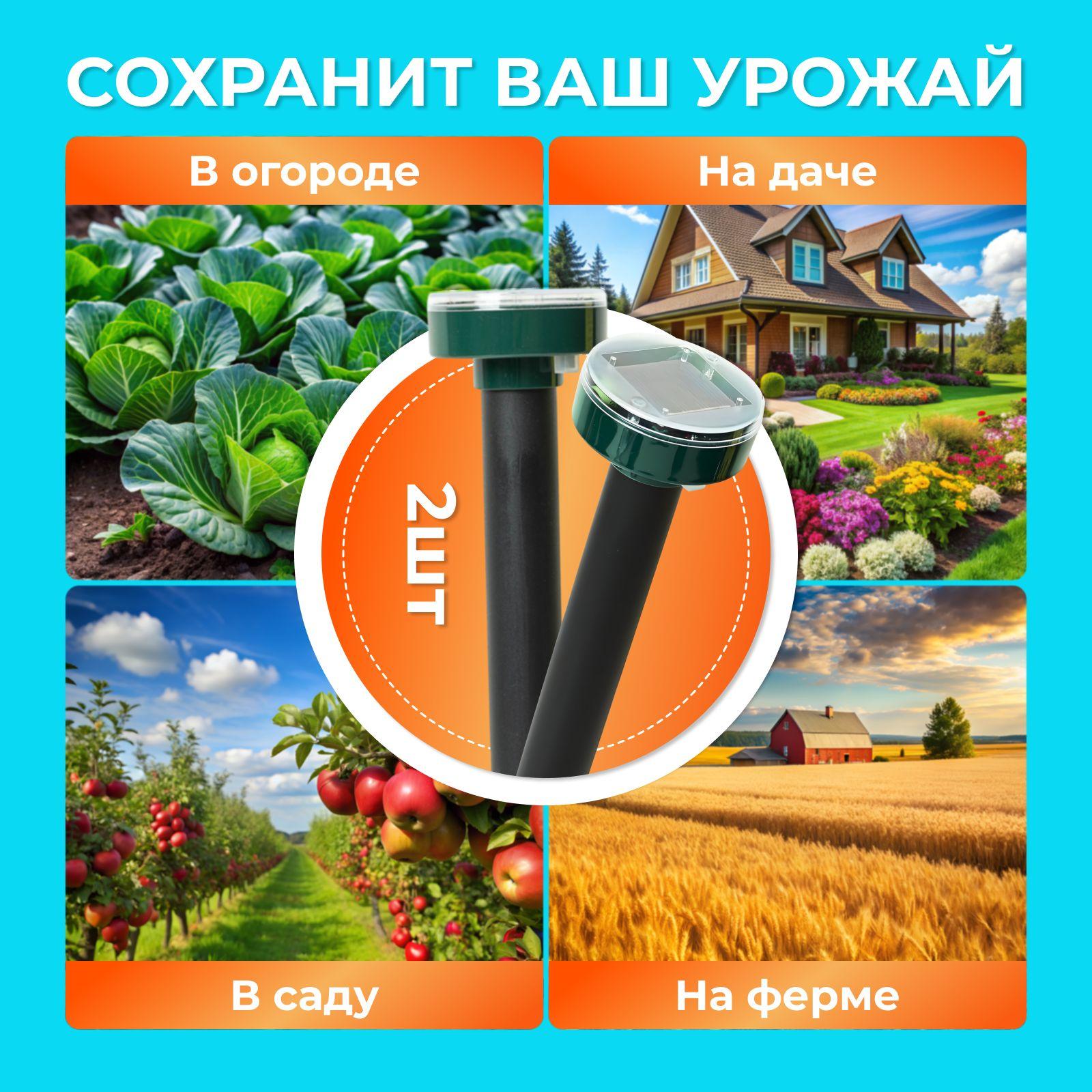 https://cdn1.ozone.ru/s3/multimedia-1-a/7066513018.jpg