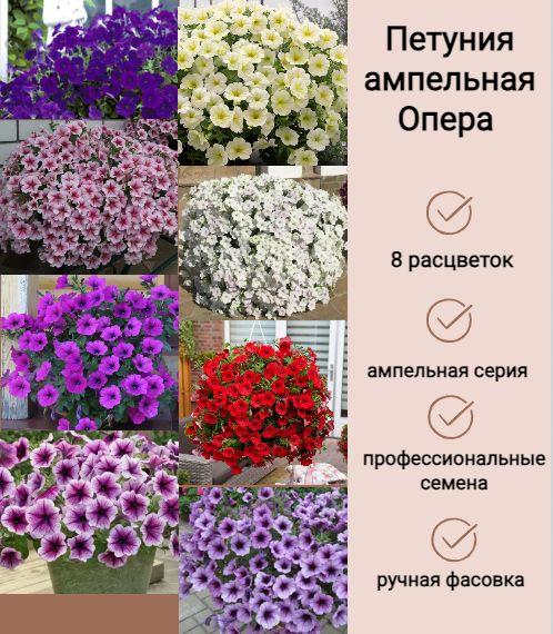 https://cdn1.ozone.ru/s3/multimedia-1-b/6931077707.jpg